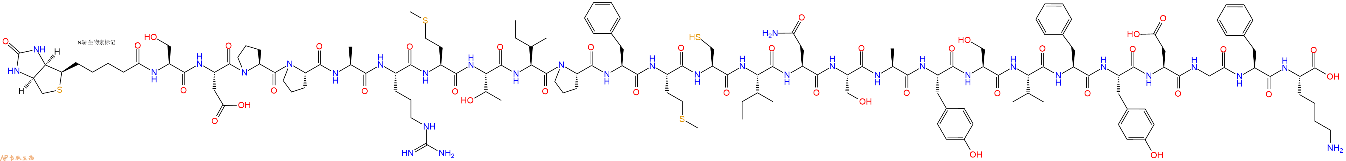专肽生物产品Biotinyl-Ser-Asp-Pro-Pro-Ala-Arg-Met-Thr-Ile-Pro-Phe-Met-Cys-Ile-Asn-Ser-Ala-Tyr-Ser-Val-Phe-Tyr-Asp-Gly-Phe-Lys-OH
