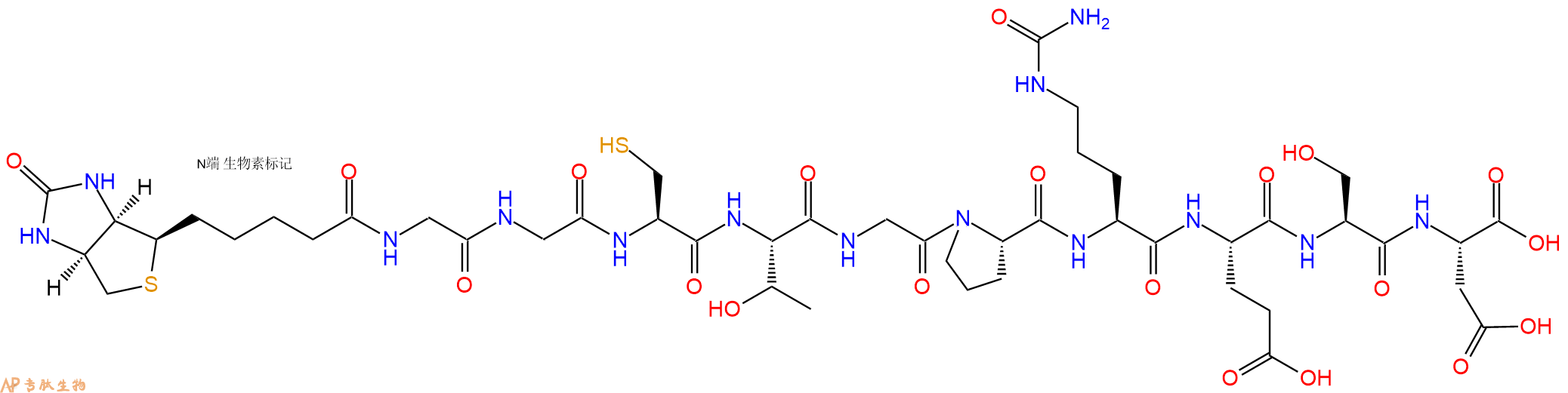 专肽生物产品Biotinyl-Gly-Gly-Cys-Thr-Gly-Pro-Cit-Glu-Ser-Asp-OH
