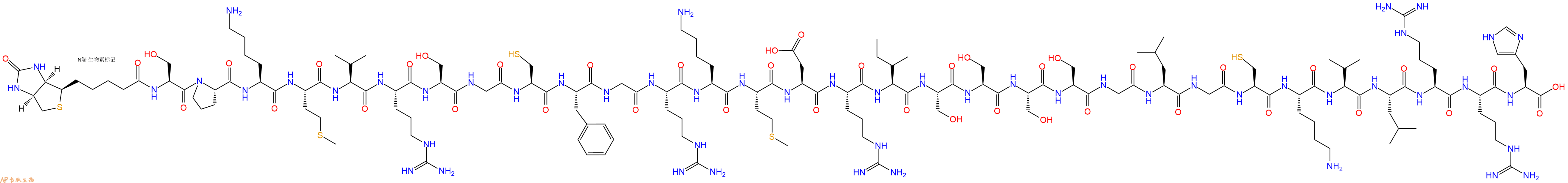 专肽生物产品Biotinyl-Ser-Pro-Lys-Met-Val-Arg-Ser-Gly-Cys-Phe-Gly-Arg-Lys-Met-Asp-Arg-Ile-Ser-Ser-Ser-Ser-Gly-Leu-Gly-Cys-Lys-Val-Leu-Arg-Arg-His-OH