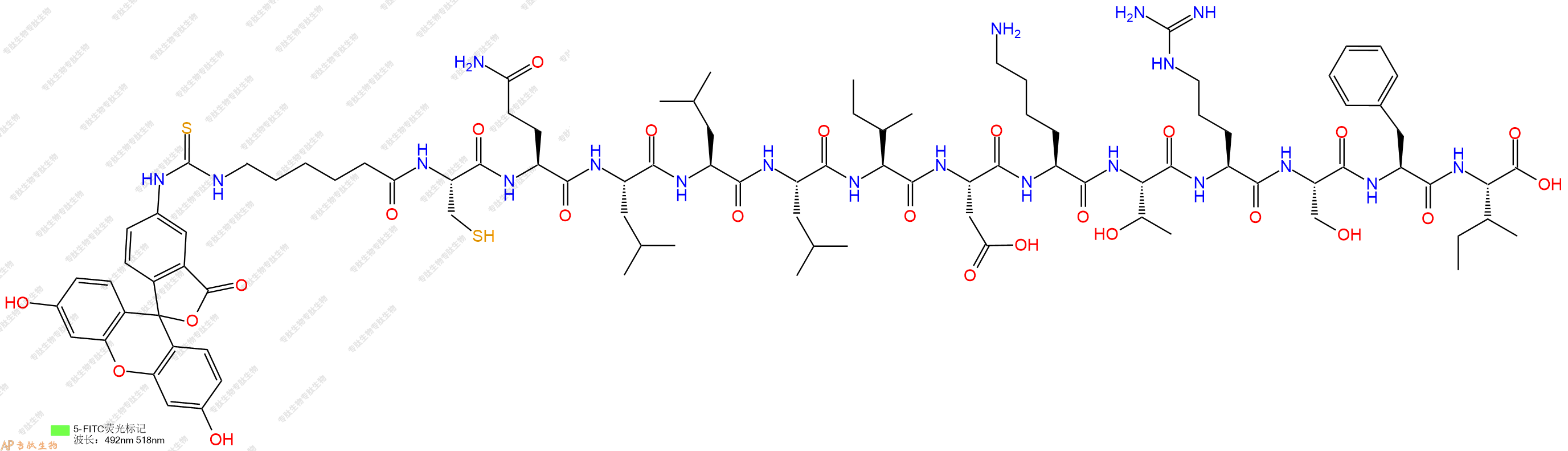 专肽生物产品5FITC-Ahx-Cys-Gln-Leu-Leu-Leu-Ile-Asp-Lys-Thr-Arg-Ser-Phe-Ile-OH