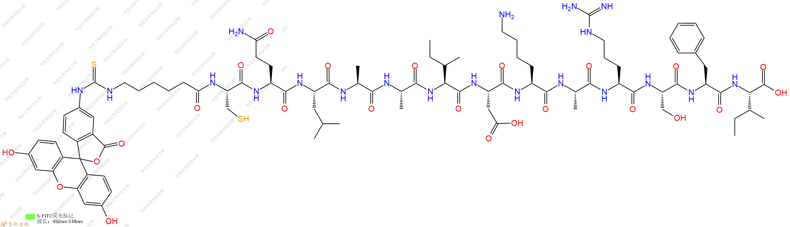 专肽生物产品5FITC-Ahx-Cys-Gln-Leu-Ala-Ala-Ile-Asp-Lys-Ala-Arg-Ser-Phe-Ile-OH