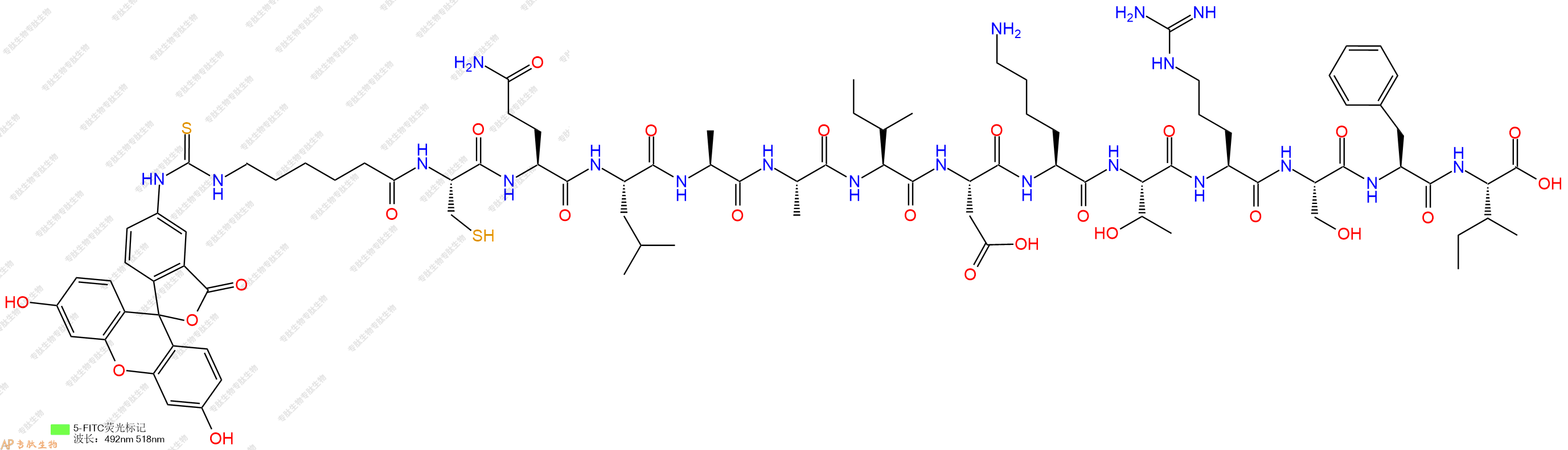 专肽生物产品5FITC-Ahx-Cys-Gln-Leu-Ala-Ala-Ile-Asp-Lys-Thr-Arg-Ser-Phe-Ile-OH