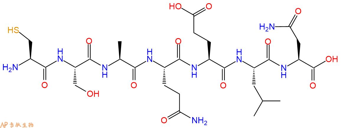 专肽生物产品H2N-Cys-Ser-Ala-Gln-Glu-Leu-Asn-OH