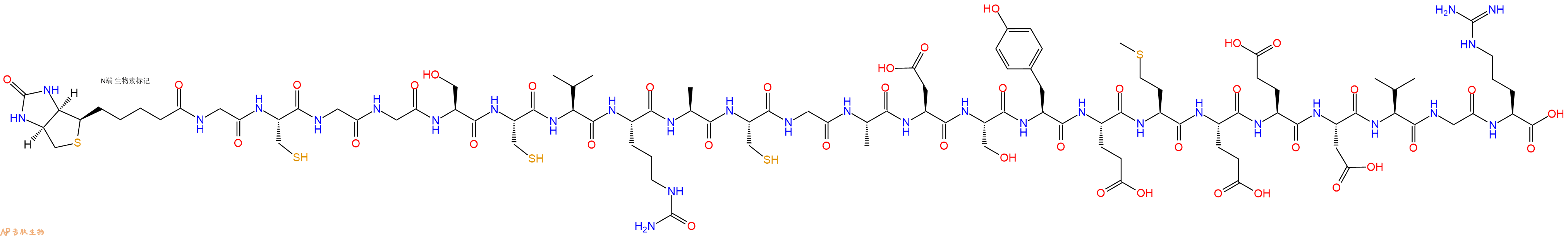 专肽生物产品Biotinyl-Gly-Cys-Gly-Gly-Ser-Cys-Val-Cit-Ala-Cys-Gly-Ala-Asp-Ser-Tyr-Glu-Met-Glu-Glu-Asp-Val-Gly-Arg-OH