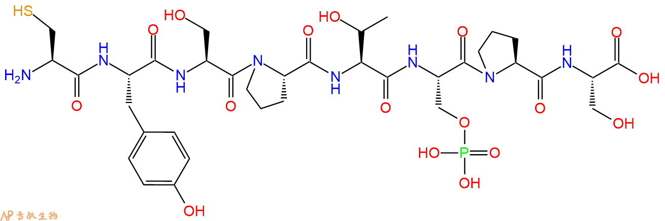专肽生物产品H2N-Cys-Tyr-Ser-Pro-Thr-Ser(PO3H2)-Pro-Ser-OH