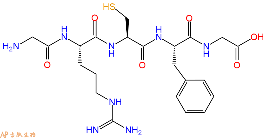 专肽生物产品H2N-Gly-Arg-Cys-Phe-Gly-OH