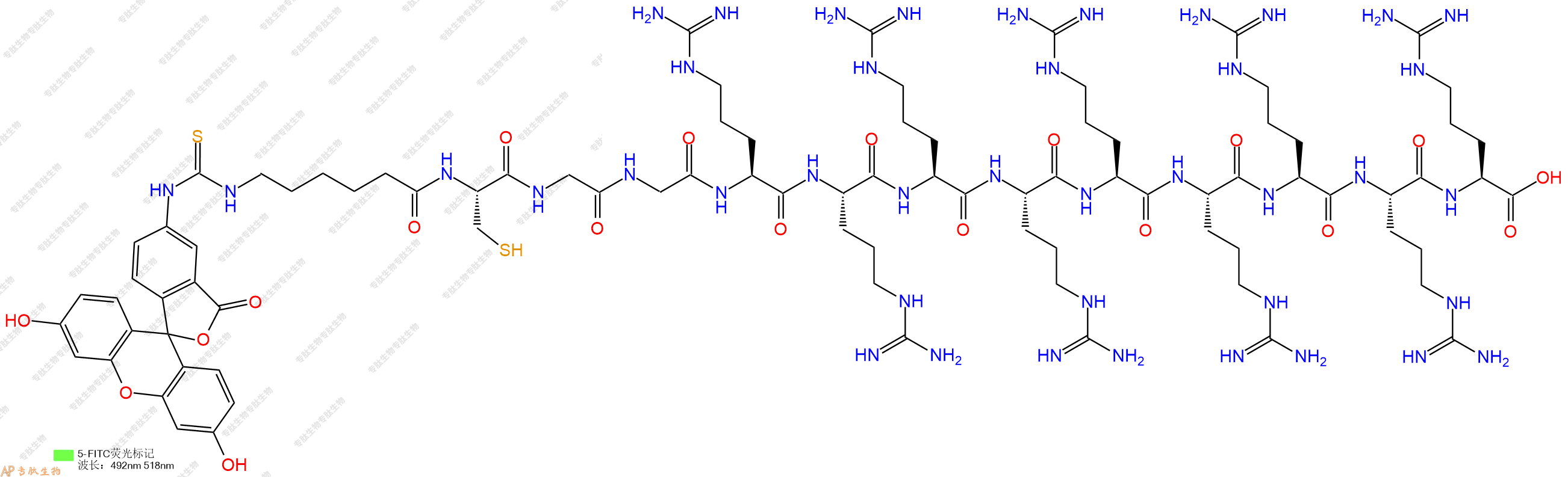 专肽生物产品5FITC-Ahx-Cys-Gly-Gly-Arg-Arg-Arg-Arg-Arg-Arg-Arg-Arg-Arg-OH