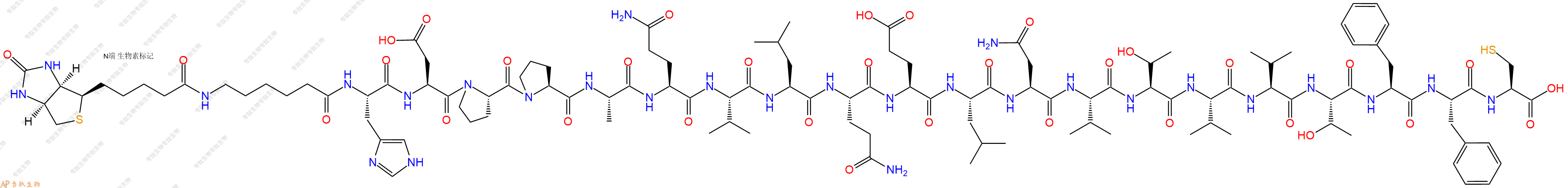 专肽生物产品Biotinyl-Ahx-His-Asp-Pro-Pro-Ala-Gln-Val-Leu-Gln-Glu-Leu-Asn-Val-Thr-Val-Val-Thr-Phe-Phe-Cys-OH