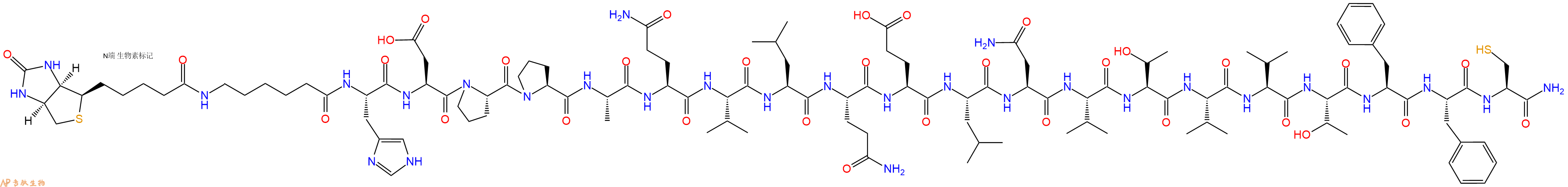 专肽生物产品Biotinyl-Ahx-His-Asp-Pro-Pro-Ala-Gln-Val-Leu-Gln-Glu-Leu-Asn-Val-Thr-Val-Val-Thr-Phe-Phe-Cys-CONH2