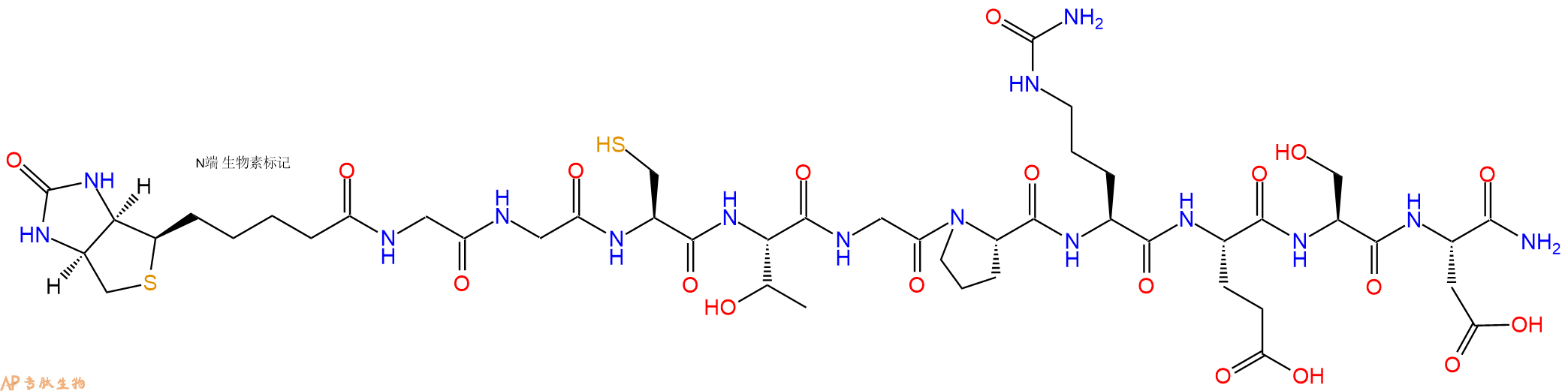 专肽生物产品Biotinyl-Gly-Gly-Cys-Thr-Gly-Pro-Cit-Glu-Ser-Asp-CONH2