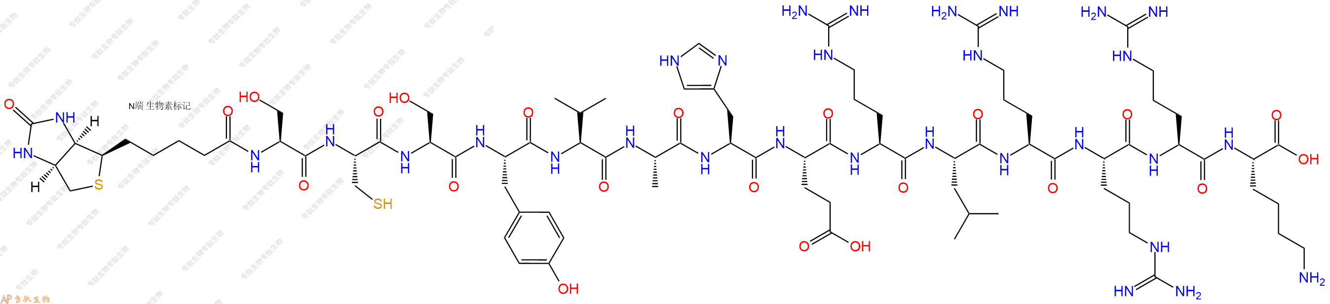 专肽生物产品Biotinyl-Ser-Cys-Ser-Tyr-Val-Ala-His-Glu-Arg-Leu-Arg-Arg-Arg-Lys-OH