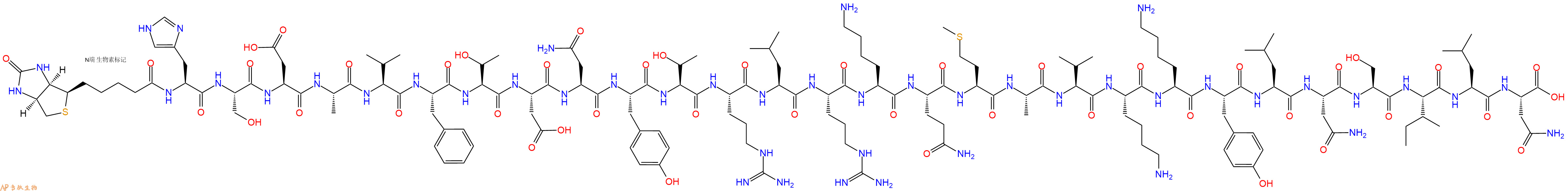 专肽生物产品Biotinyl-His-Ser-Asp-Ala-Val-Phe-Thr-Asp-Asn-Tyr-Thr-Arg-Leu-Arg-Lys-Gln-Met-Ala-Val-Lys-Lys-Tyr-Leu-Asn-Ser-Ile-Leu-Asn-OH