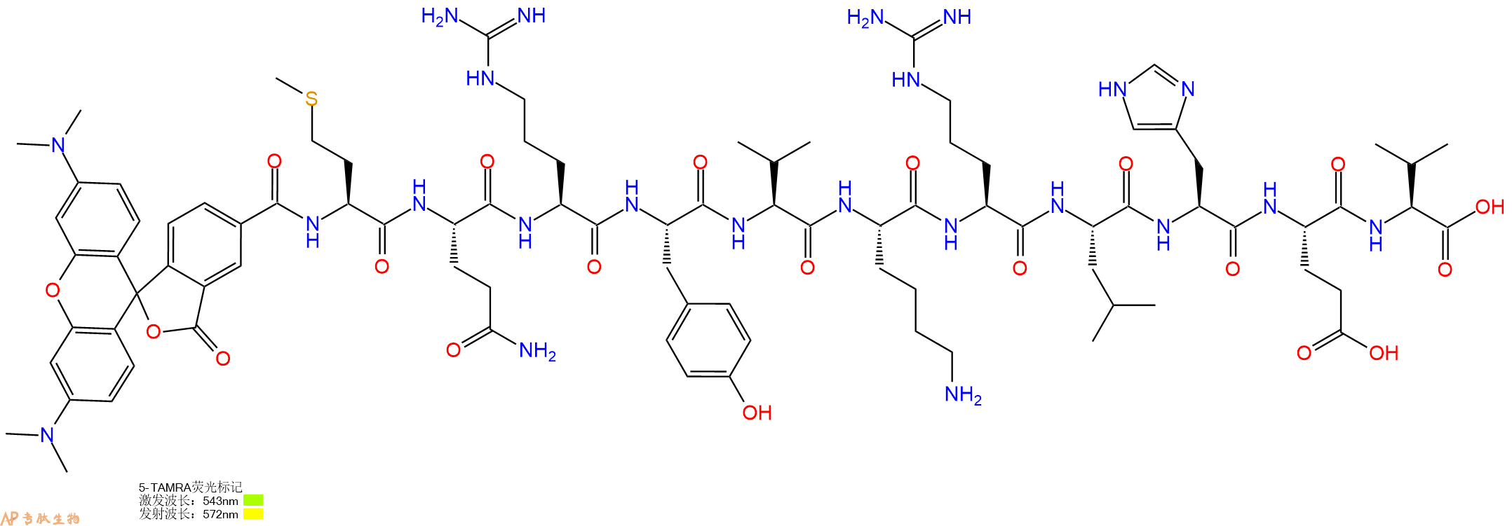 专肽生物产品5TAMRA-Met-Gln-Arg-Tyr-Val-Lys-Arg-Leu-His-Glu-Val-OH
