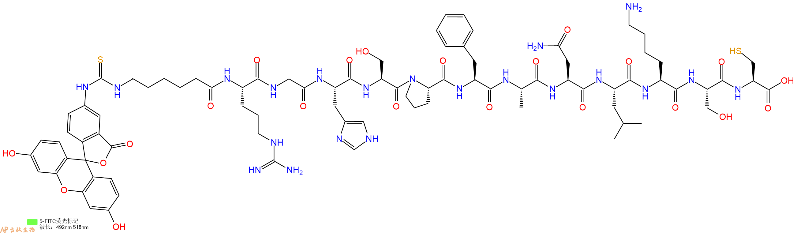 专肽生物产品5FITC-Ahx-Arg-Gly-His-Ser-Pro-Phe-Ala-Asn-Leu-Lys-Ser-Cys-OH