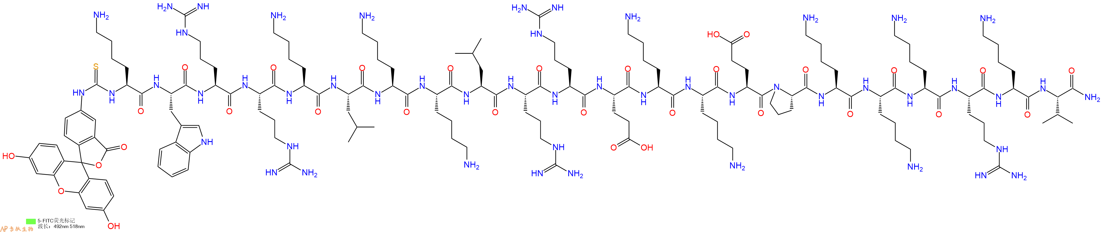 专肽生物产品5FITC-Lys-Trp-Arg-Arg-Lys-Leu-Lys-Lys-Leu-Arg-Arg-Glu-Lys-Lys-Glu-Pro-Lys-Lys-Lys-Arg-Lys-Val-CONH2
