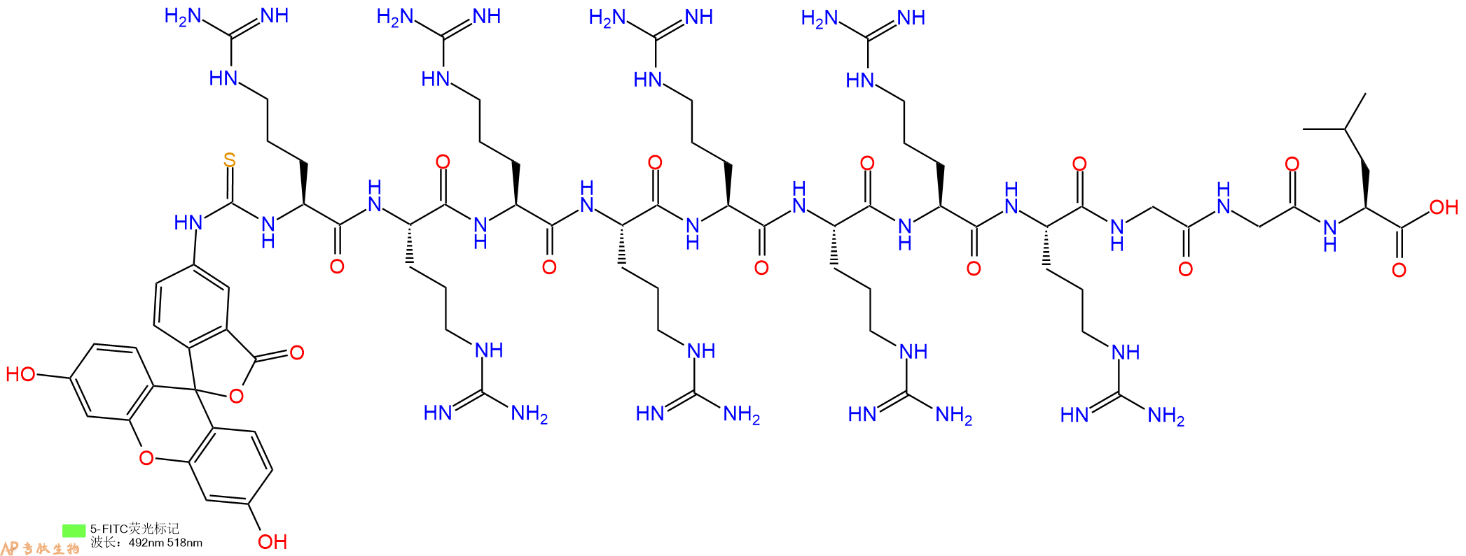 专肽生物产品5FITC-Arg-Arg-Arg-Arg-Arg-Arg-Arg-Arg-Gly-Gly-Leu-OH