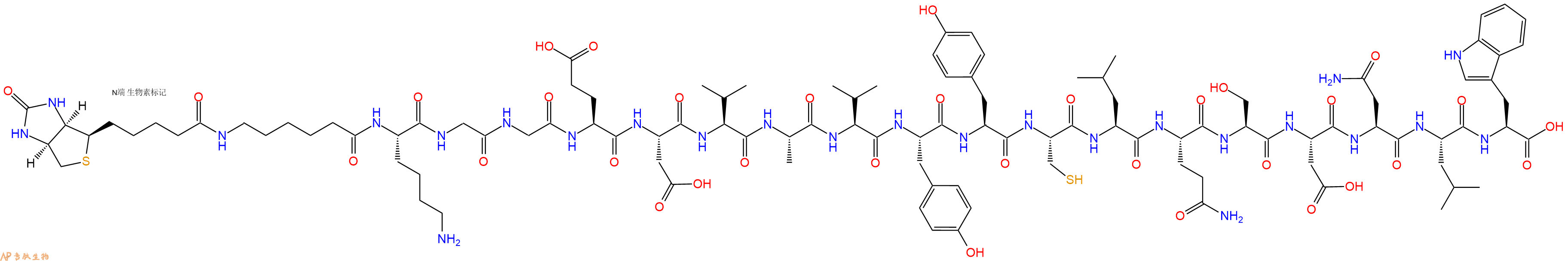 专肽生物产品Biotinyl-Ahx-Lys-Gly-Gly-Glu-Asp-Val-Ala-Val-Tyr-Tyr-Cys-Leu-Gln-Ser-Asp-Asn-Leu-Trp-OH