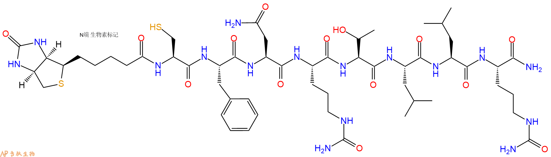 专肽生物产品Biotinyl-Cys-Phe-Asn-Cit-Thr-Leu-Leu-Cit-CONH2