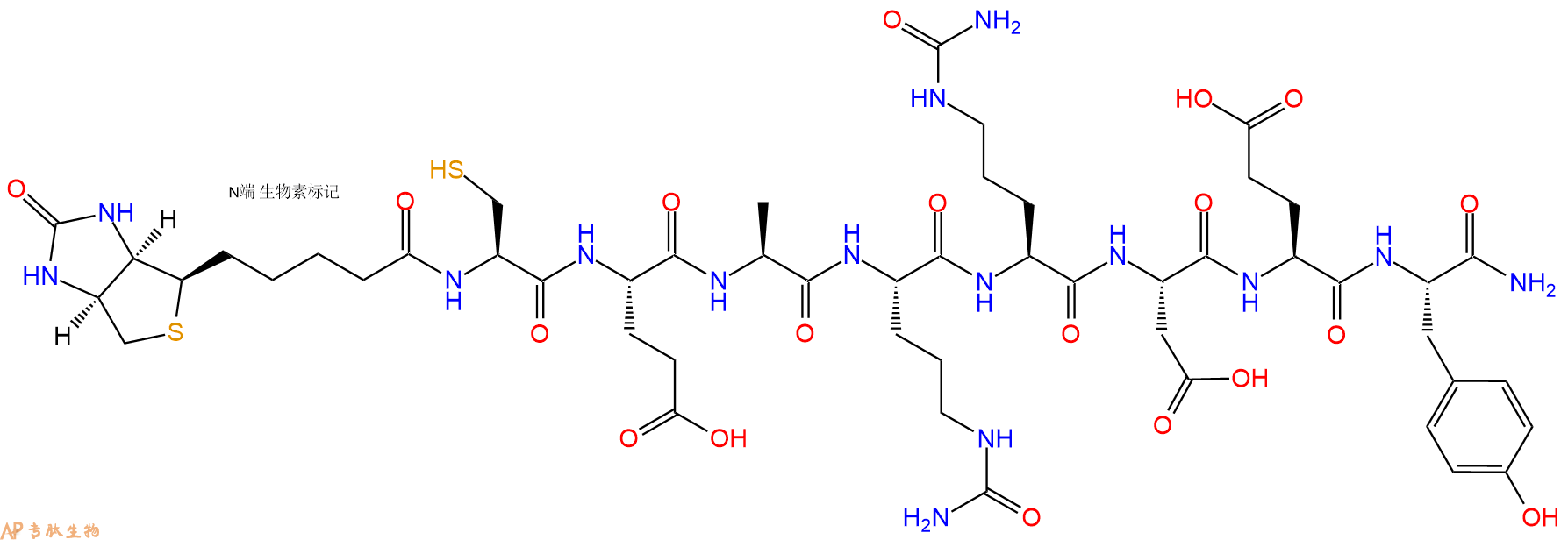 专肽生物产品Biotinyl-Cys-Glu-Ala-Cit-Cit-Asp-Glu-Tyr-CONH2