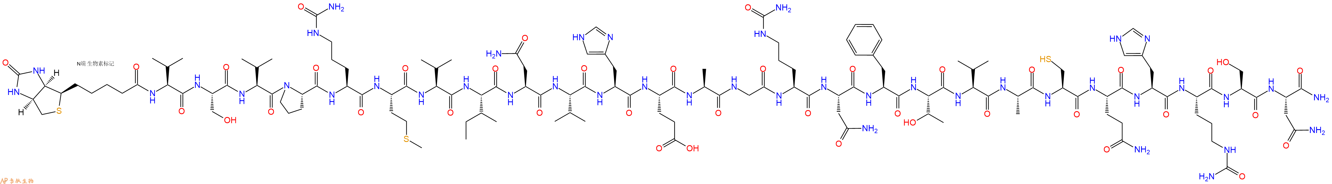 专肽生物产品Biotinyl-Val-Ser-Val-Pro-Cit-Met-Val-Ile-Asn-Val-His-Glu-Ala-Gly-Cit-Asn-Phe-Thr-Val-Ala-Cys-Gln-His-Cit-Ser-Asn-CONH2