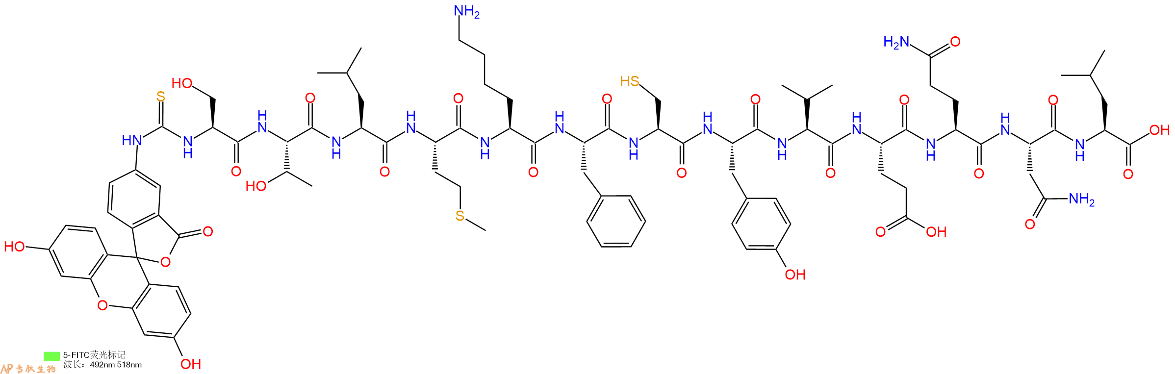 专肽生物产品5FITC-Ser-Thr-Leu-Met-Lys-Phe-Cys-Tyr-Val-Glu-Gln-Asn-Leu-OH
