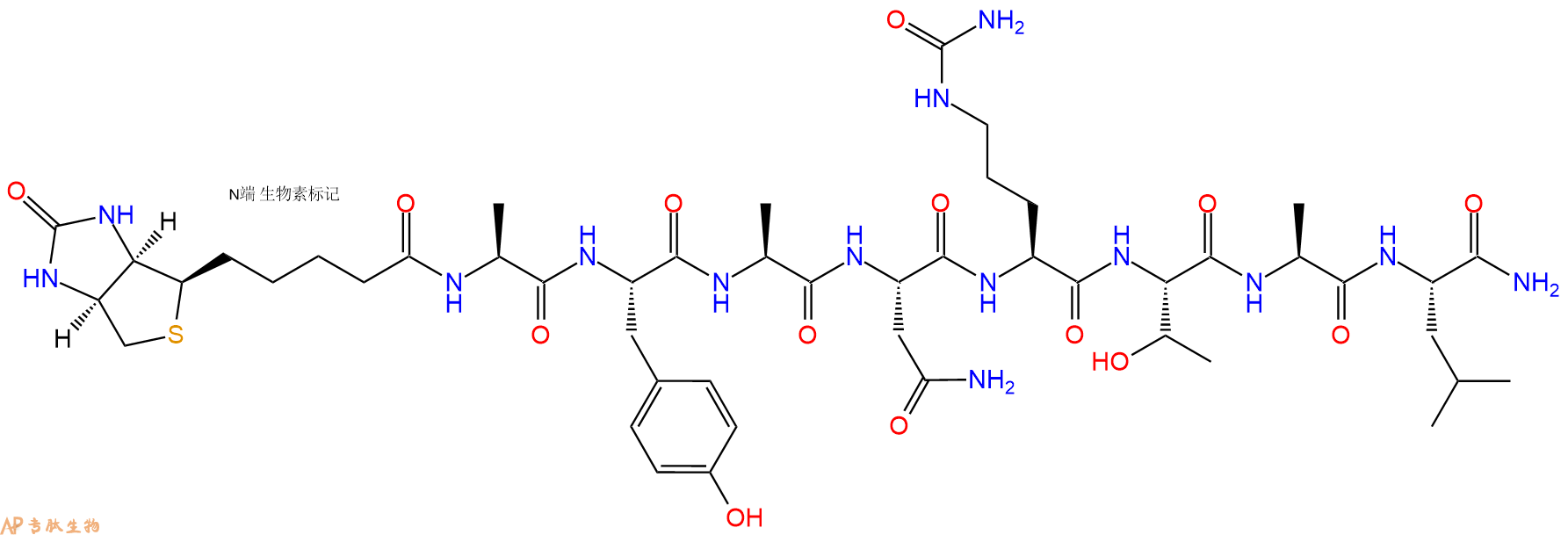 专肽生物产品Biotinyl-Ala-Tyr-Ala-Asn-Cit-Thr-Ala-Leu-CONH2