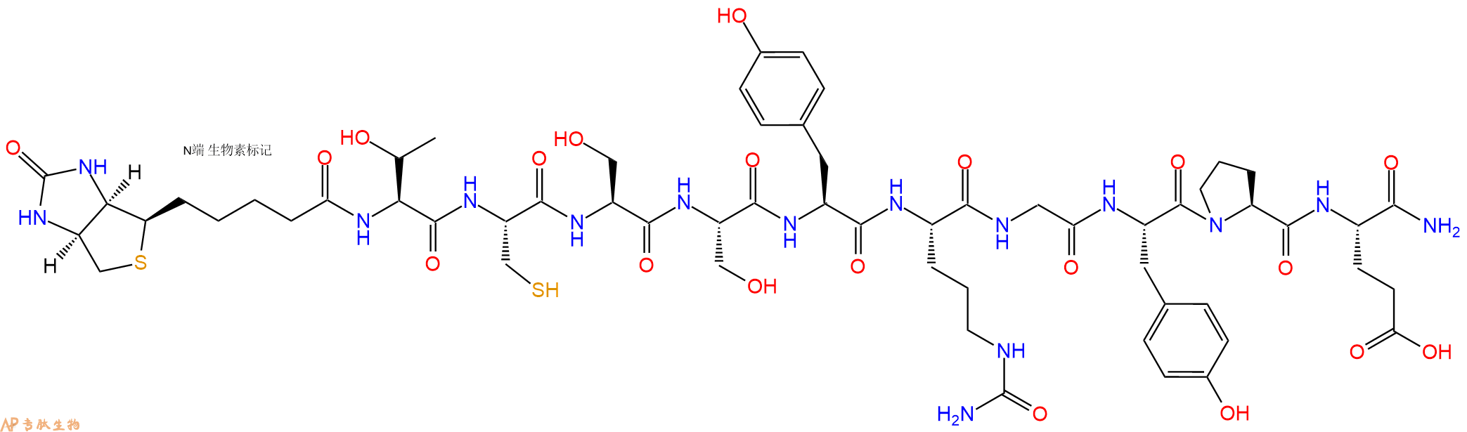 专肽生物产品Biotinyl-Thr-Cys-Ser-Ser-Tyr-Cit-Gly-Tyr-Pro-Glu-CONH2