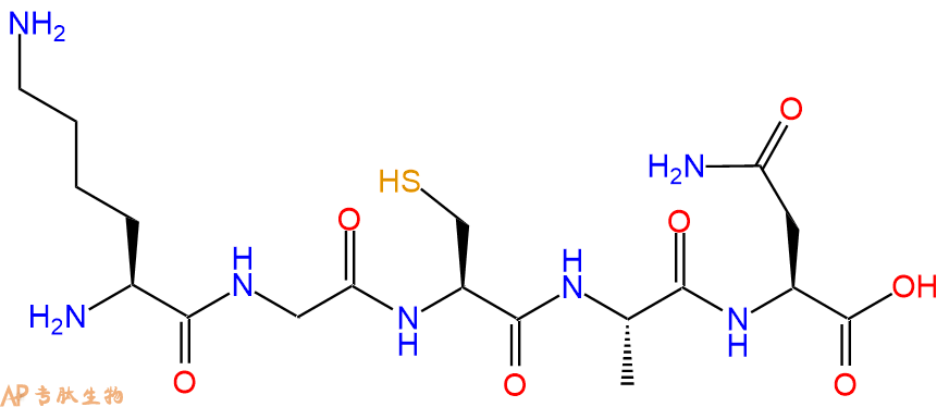 专肽生物产品H2N-Lys-Gly-Cys-Ala-Asn-OH