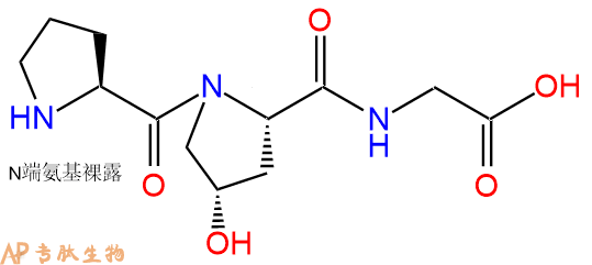 专肽生物产品H2N-Pro-Hyp-Gly-OH