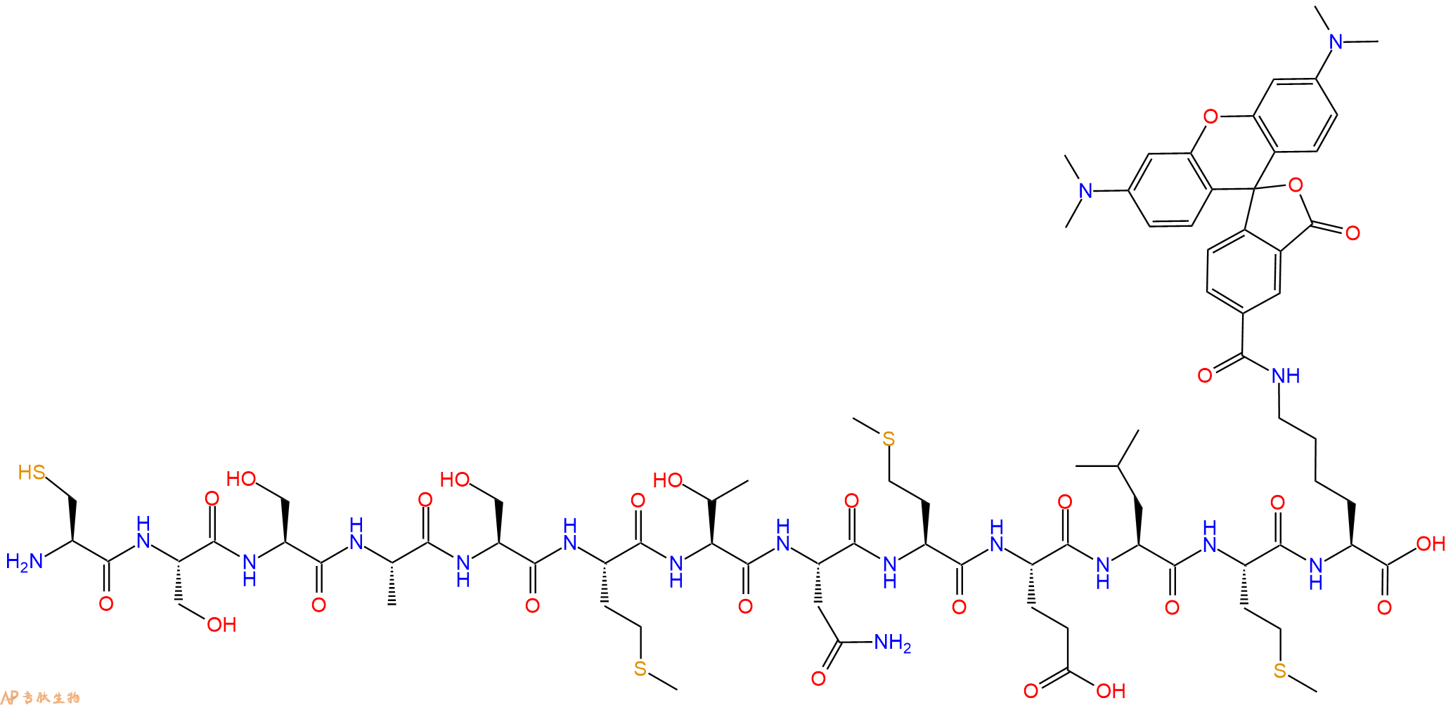 专肽生物产品H2N-Cys-Ser-Ser-Ala-Ser-Met-Thr-Asn-Met-Glu-Leu-Met-Lys(TAMRA)-OH