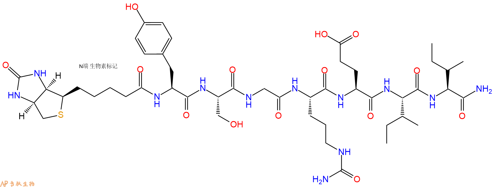 专肽生物产品Biotinyl-Tyr-Ser-Gly-Cit-Glu-Ile-Ile-CONH2