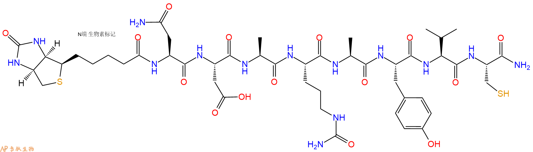 专肽生物产品Biotinyl-Asn-Asp-Ala-Cit-Ala-Tyr-Val-Cys-CONH2