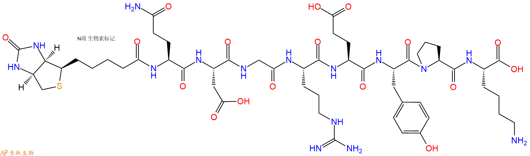 专肽生物产品Biotinyl-Gln-Asp-Gly-Arg-Glu-Tyr-Pro-Lys-OH