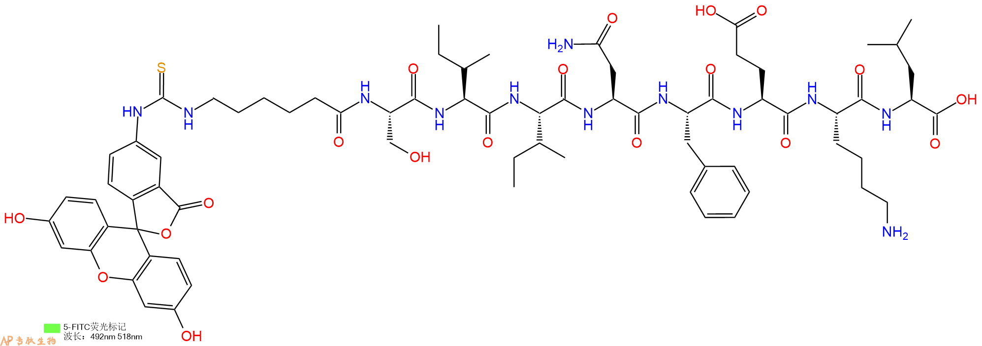 专肽生物产品5FITC-Ahx-Ser-Ile-Ile-Asn-Phe-Glu-Lys-Leu-OH