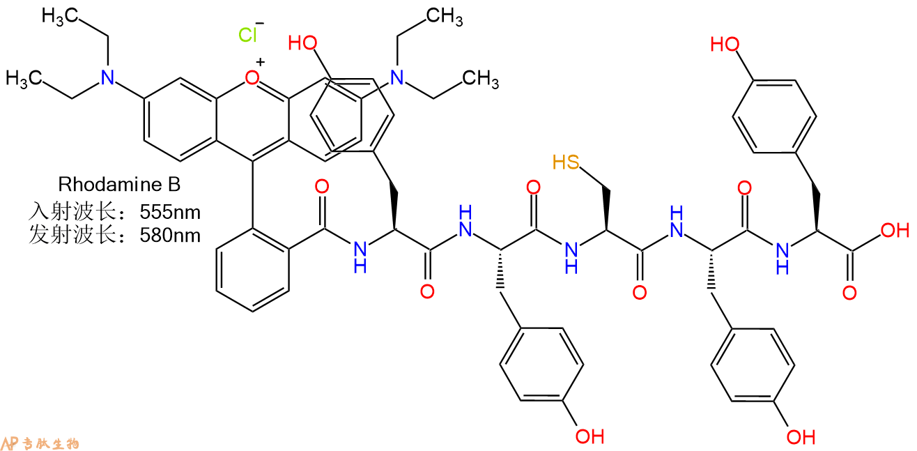 专肽生物产品RhodamineB-Tyr-Tyr-Cys-Tyr-Tyr-OH