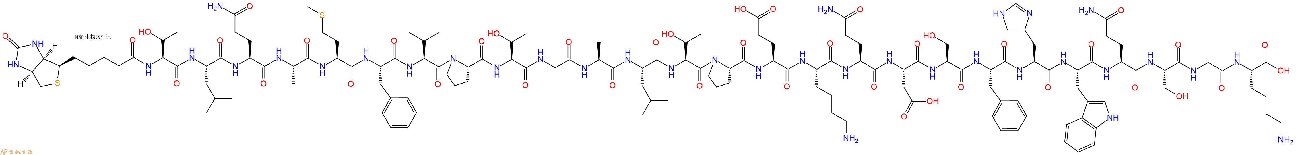 专肽生物产品Biotinyl-Thr-Leu-Gln-Ala-Met-Phe-Val-Pro-Thr-Gly-Ala-Leu-Thr-Pro-Glu-Lys-Gln-Asp-Ser-Phe-His-Trp-Gln-Ser-Gly-Lys-OH