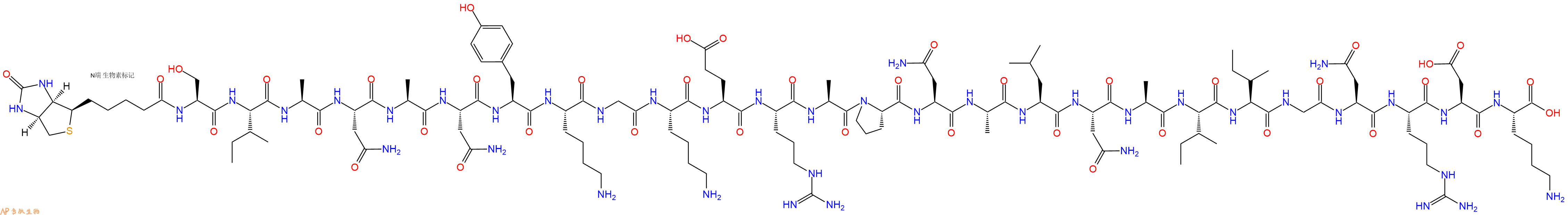 专肽生物产品Biotinyl-Ser-Ile-Ala-Asn-Ala-Asn-Tyr-Lys-Gly-Lys-Glu-Arg-Ala-Pro-Asn-Ala-Leu-Asn-Ala-Ile-Ile-Gly-Asn-Arg-Asp-Lys-OH