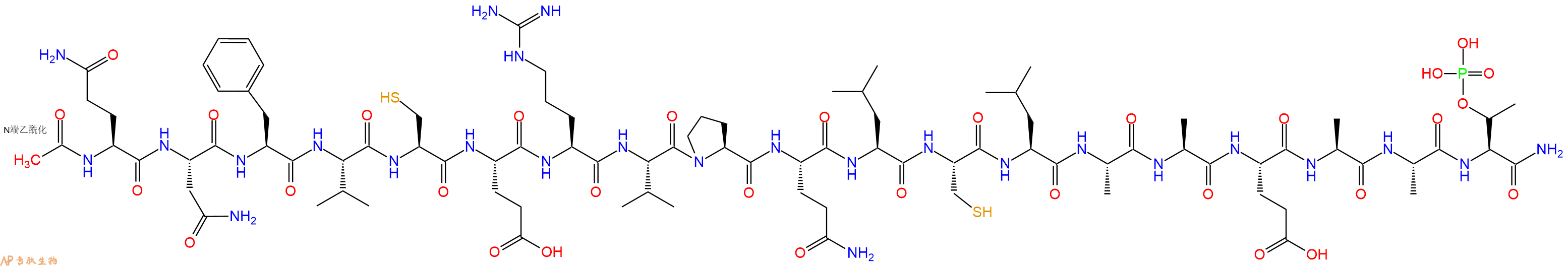 专肽生物产品Ac-Gln-Asn-Phe-Val-Cys-Glu-Arg-Val-Pro-Gln-Leu-Cys-Leu-Ala-Ala-Glu-Ala-Ala-Thr(PO3H2)-CONH2