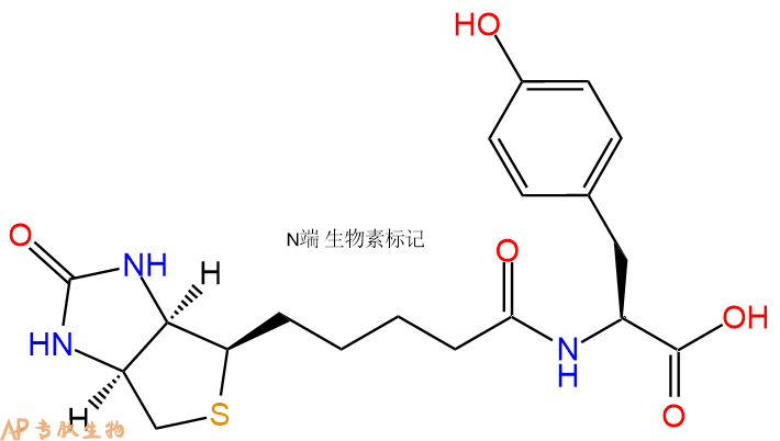 专肽生物产品Biotinyl-Tyr-OH