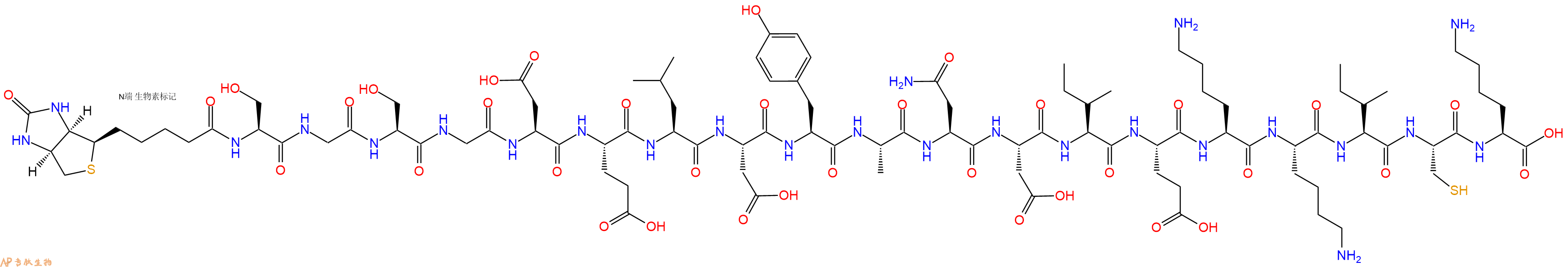 专肽生物产品Biotinyl-Ser-Gly-Ser-Gly-Asp-Glu-Leu-Asp-Tyr-Ala-Asn-Asp-Ile-Glu-Lys-Lys-Ile-Cys-Lys-OH