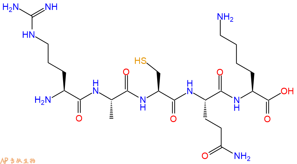 专肽生物产品H2N-Arg-Ala-Cys-Gln-Lys-OH
