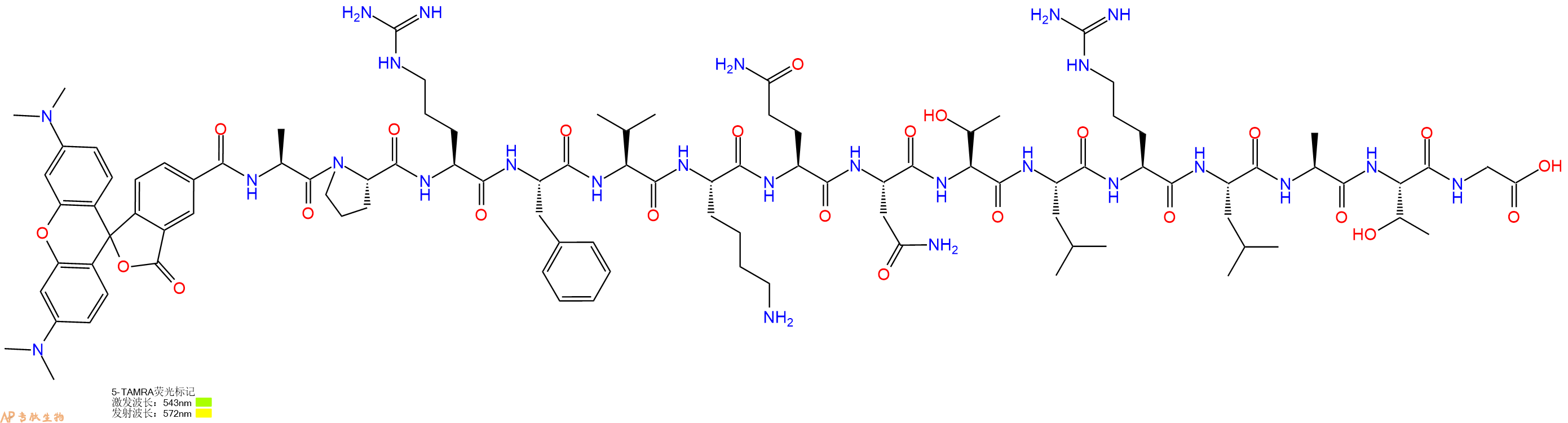 专肽生物产品5TAMRA-Ala-Pro-Arg-Phe-Val-Lys-Gln-Asn-Thr-Leu-Arg-Leu-Ala-Thr-Gly-OH