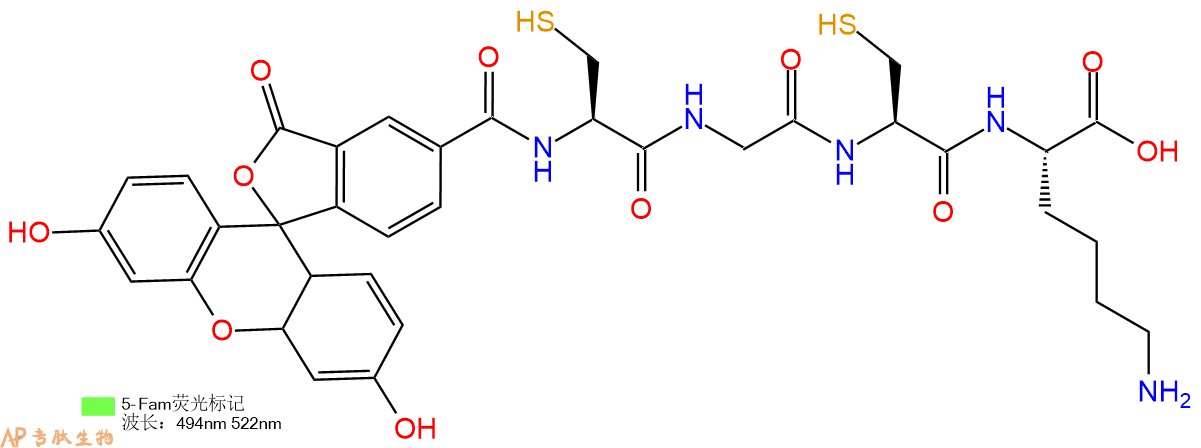 专肽生物产品5FAM-Cys-Gly-Cys-Lys-OH