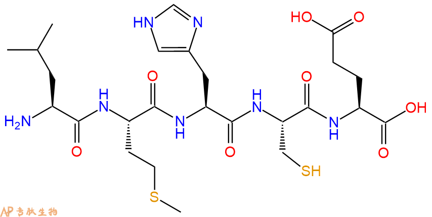 专肽生物产品H2N-Leu-Met-His-Cys-Glu-OH