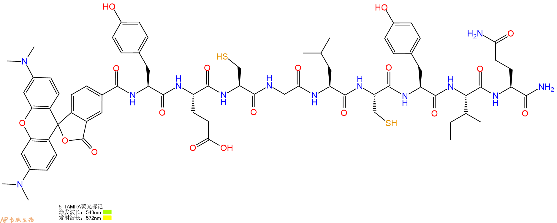 专肽生物产品5TAMRA-Tyr-Glu-Cys-Gly-Leu-Cys-Tyr-Ile-Gln-CONH2