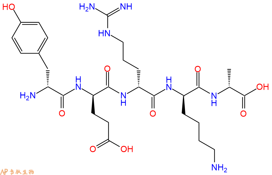 专肽生物产品H2N-DTyr-DGlu-DArg-DLys-DAla-OH