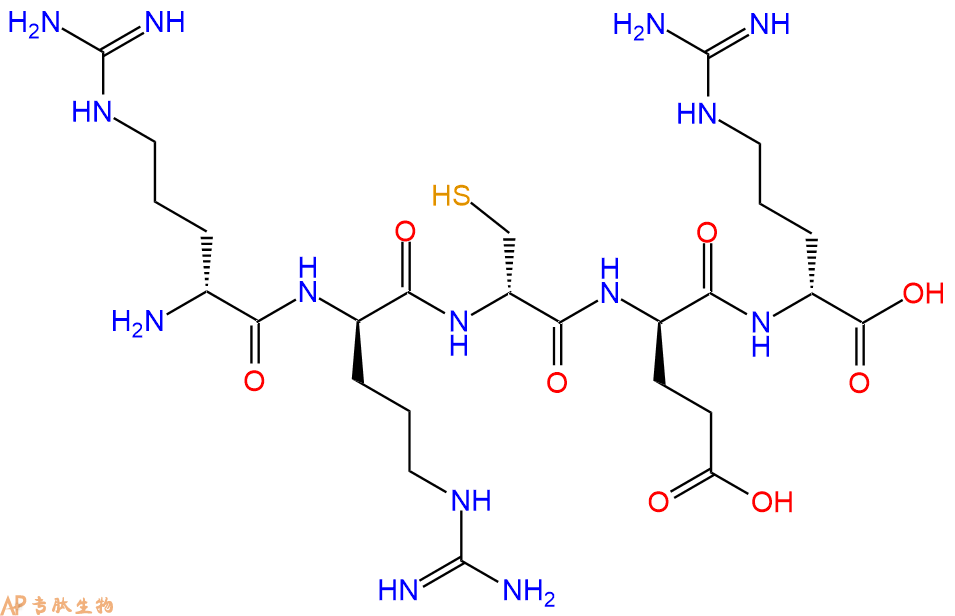 专肽生物产品H2N-DArg-DArg-DCys-DGlu-DArg-OH