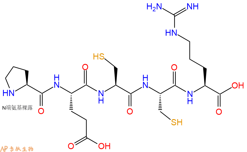 专肽生物产品H2N-Pro-Glu-Cys-Cys-Arg-OH