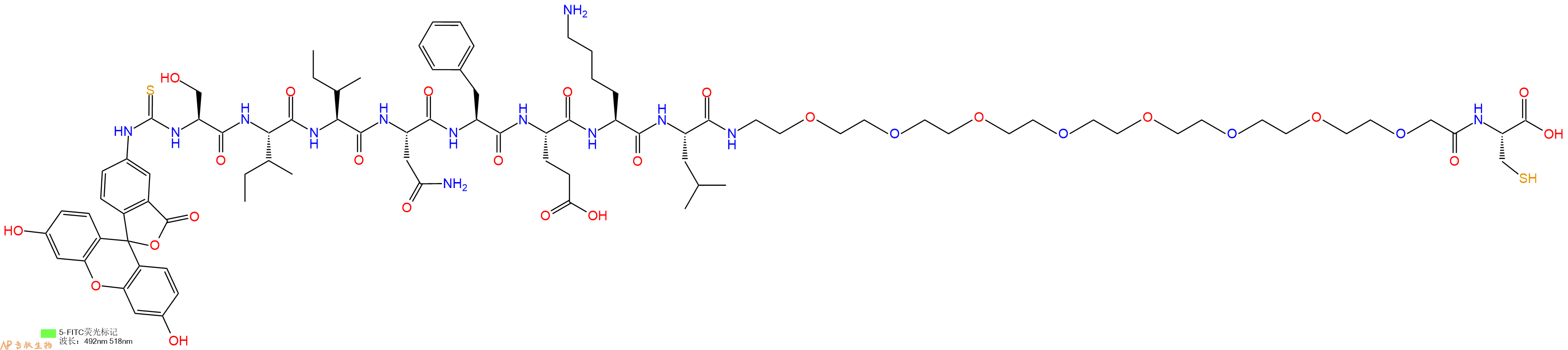 专肽生物产品5FITC-Ser-Ile-Ile-Asn-Phe-Glu-Lys-Leu-PEG8-Cys