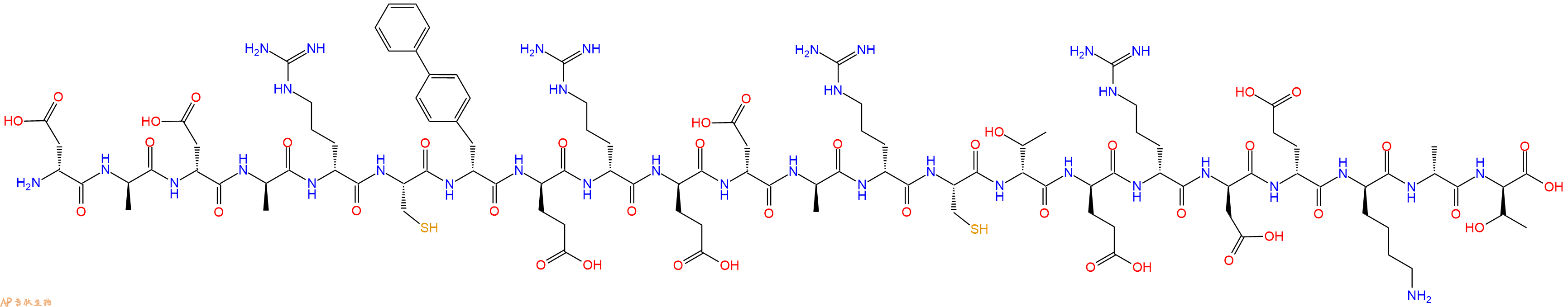 专肽生物产品H2N-DAsp-DAla-DAsp-DAla-DArg-Cys-DBip-DGlu-DArg-DGlu-DAsp-DAla-DArg-Cys-DThr-DGlu-DArg-DAsp-DGlu-DLys-DAla-DThr-OH